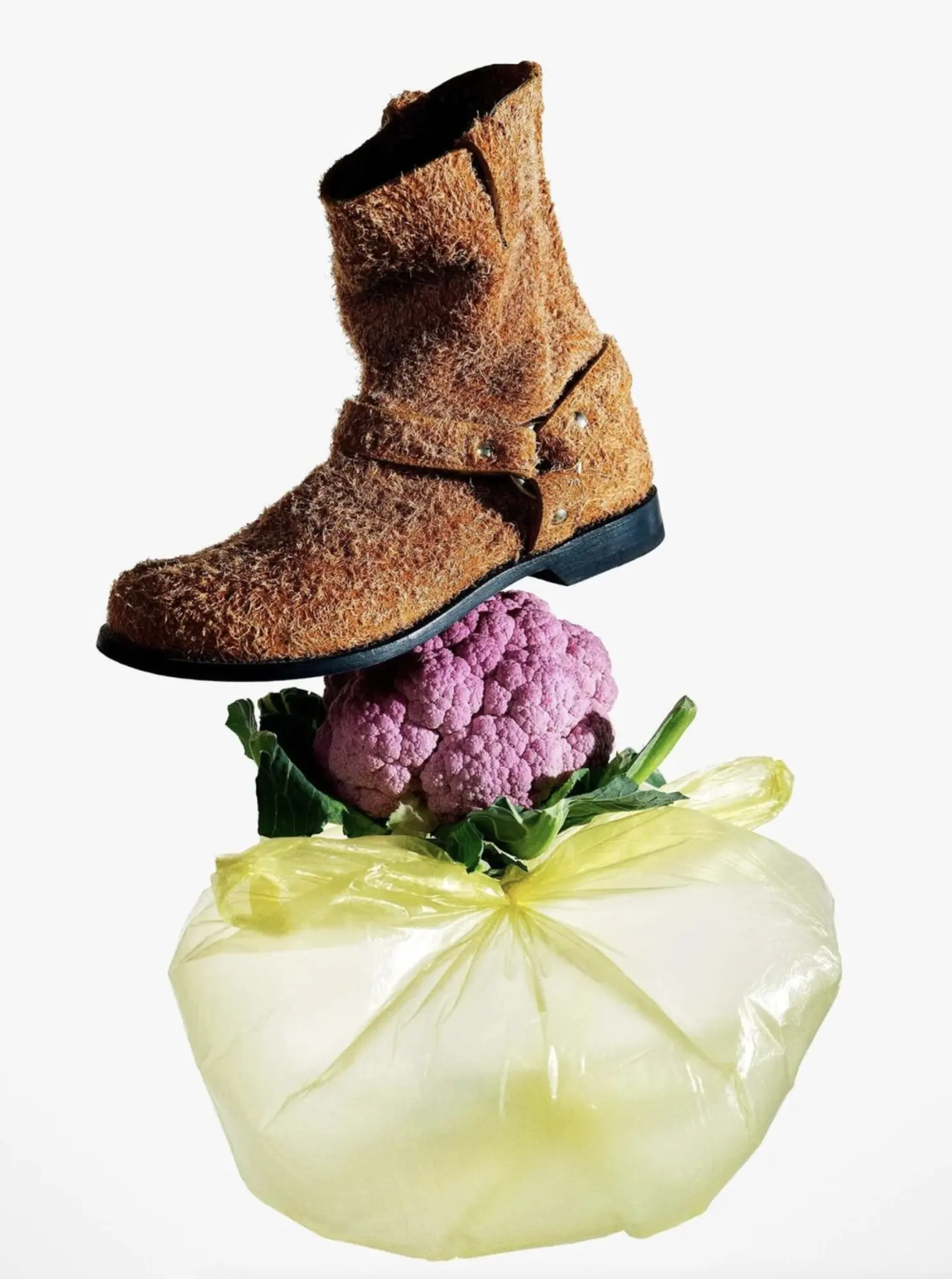 A brown suede boot in a still life with a flower, Departamento
