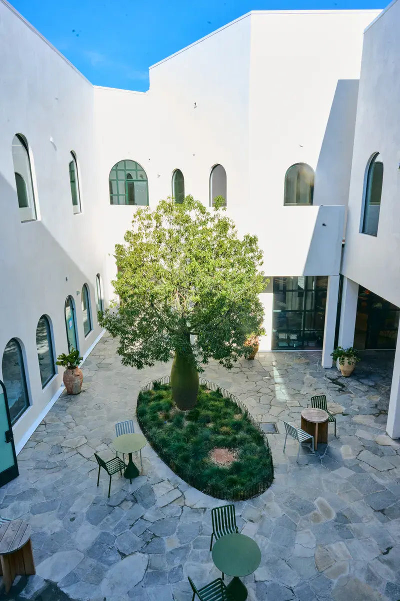 The courtyard at Signal and its bottle tree from above